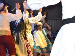 Festival de Folkore en Mula